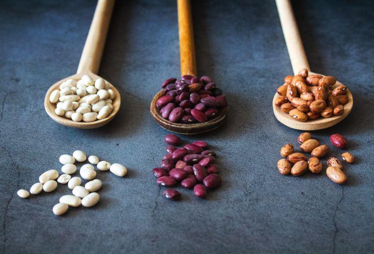 En særlig hyldest til de grønne proteiner