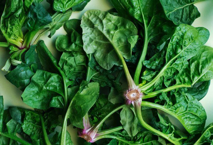 Blæret bladgrønt og geniale grøntsager