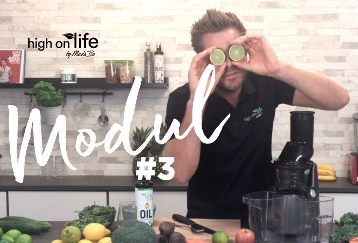 Modul 3: Sådan laver du den perfekte juice