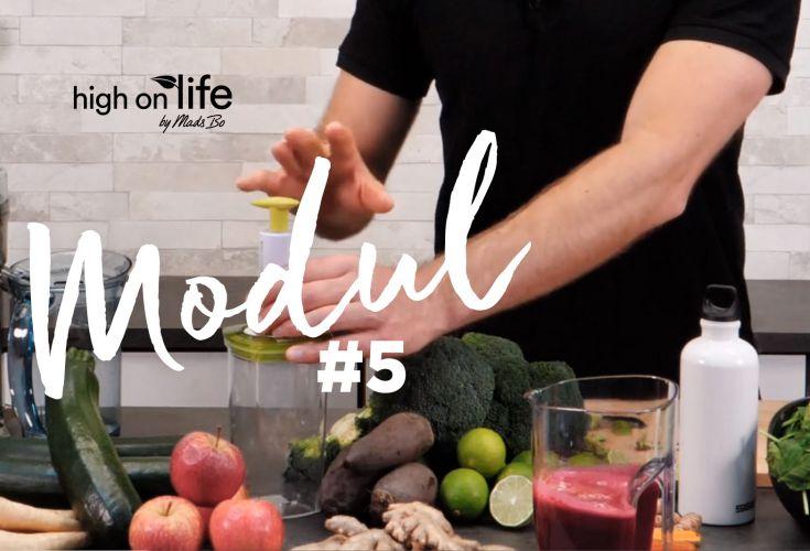 Modul 5: Holdbarhed og opbevaring