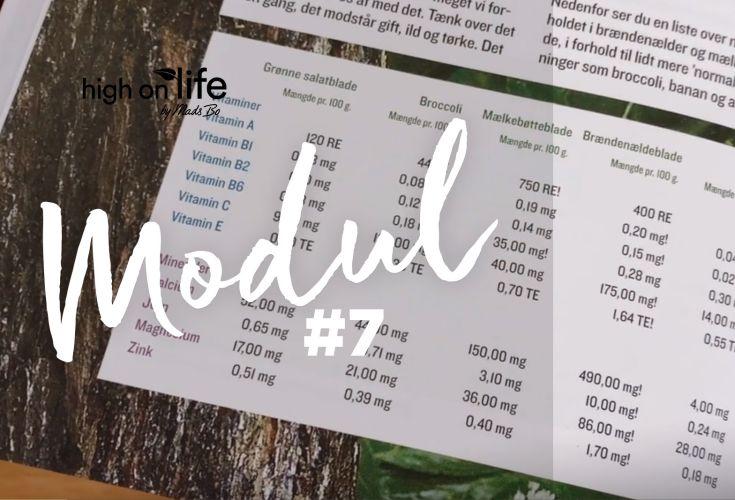 Modul 7: Friskpresset juice med ukrudt