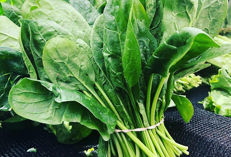 7 basiske frugter og grøntsager