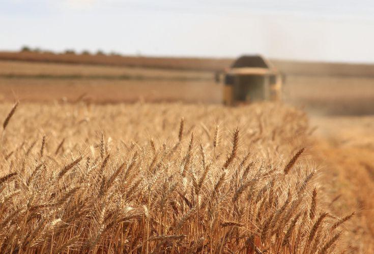 Så nemt undgår du gluten