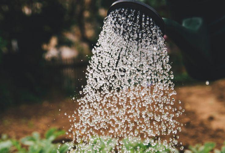 Vand - kilden til liv