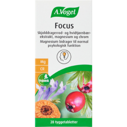 A.vogel focus