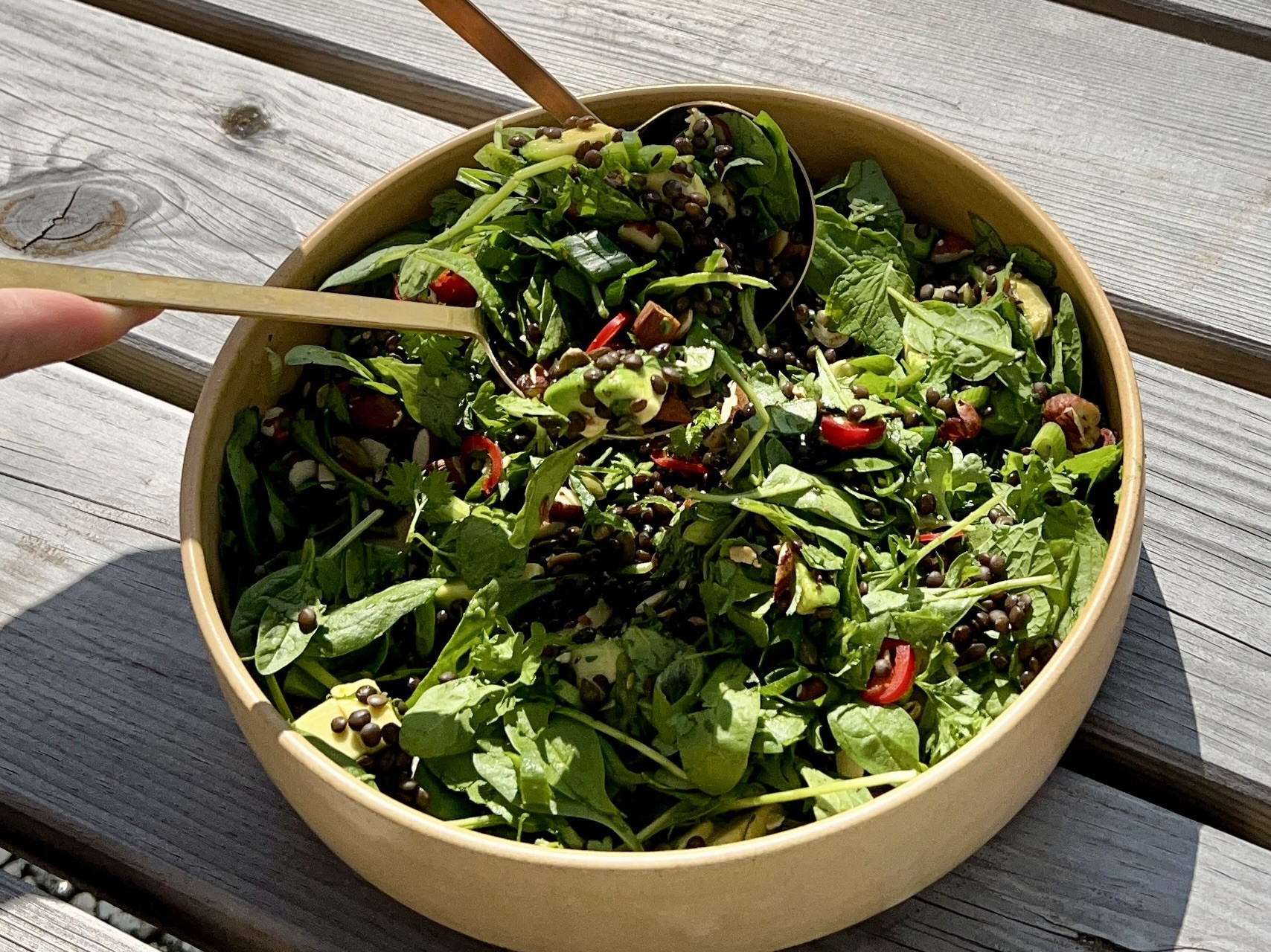 Avokadosalat med belugalinser