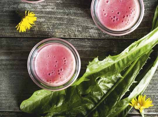 M&M. Smoothie med mælkebøtte