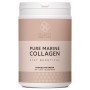 collagen med kakaosmag