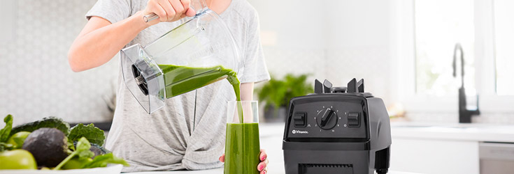 Vitamix E310